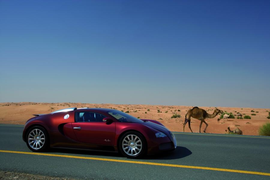  Bugatti Veyron 16.4 Centenaire 2009 года  (фото 127 из 130)